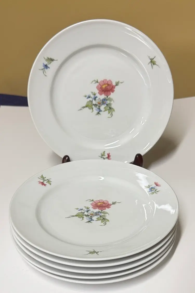 Seltmann Weiden Floral White 7.5” Salad Plate Set of 6 Bavaria, W. Germany
