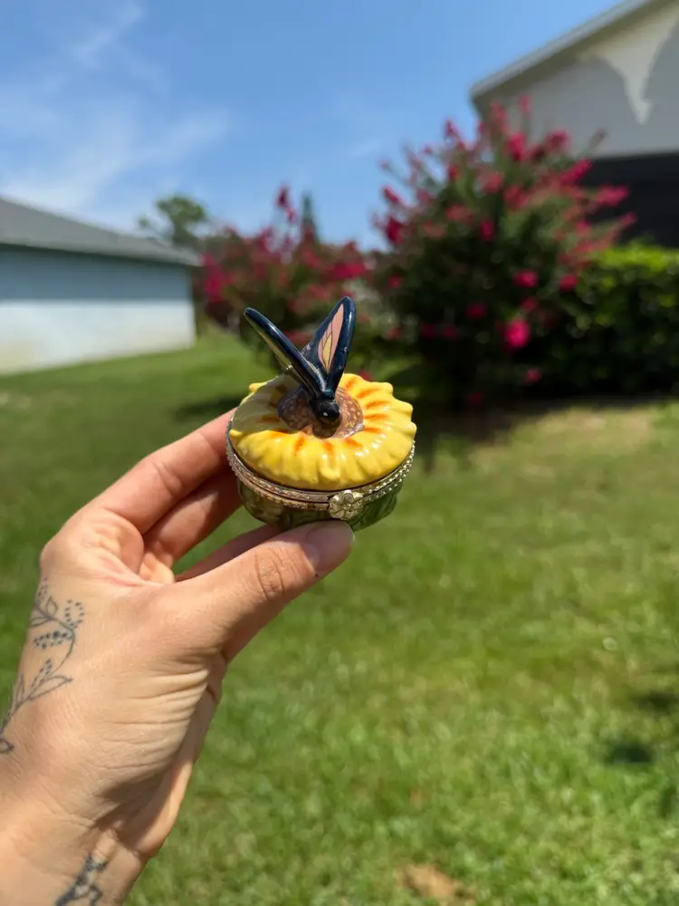✨Monarch Hinged Butterfly Trinket Box✨