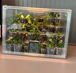 YHP propagation box