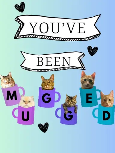 You’ve Been Mugged Tracy’s Birthday Sale W/pinkinpeter&tracy On Niknax.net