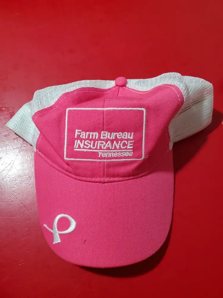 Breast Cancer Lot: October is breast cancer awareness month