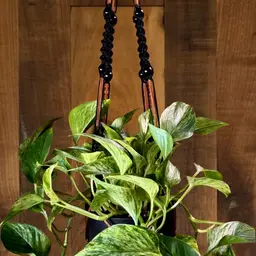 Outdoor Plant Hanger - Water Resistant