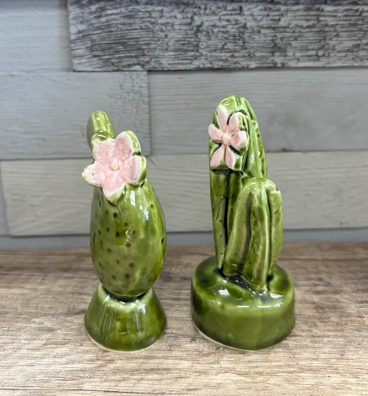 Vintage Flowering Cactus Salt & Pepper Shaker Set
