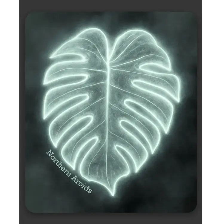 Electric Glow Spooky Szn Sticker