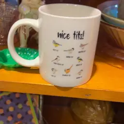 Bird Mug