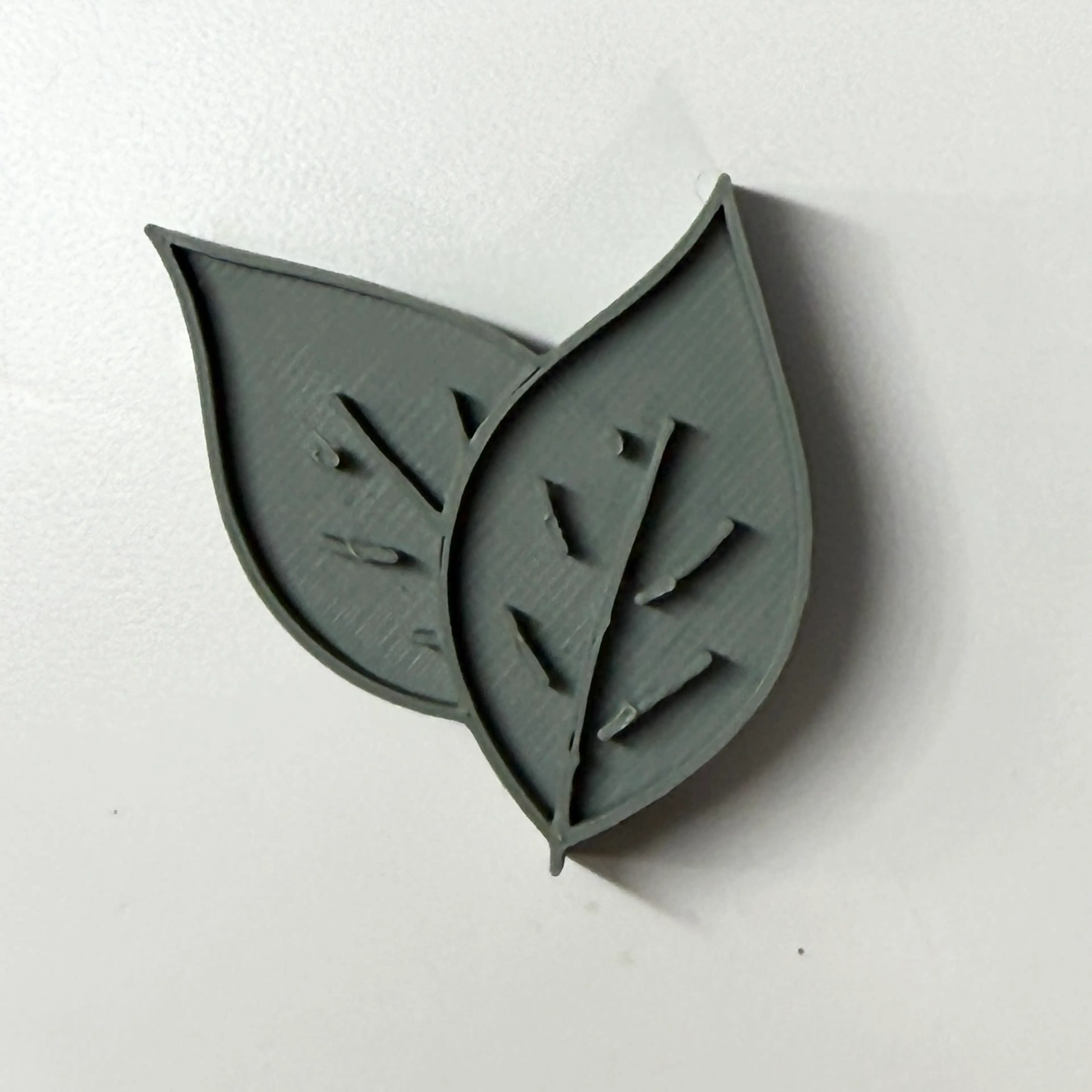 Image 3 of 14