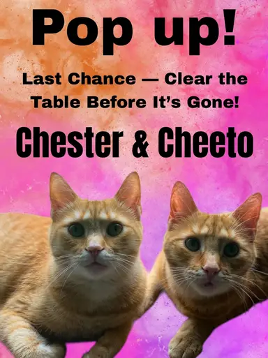 Last Change Clear Glass Sale