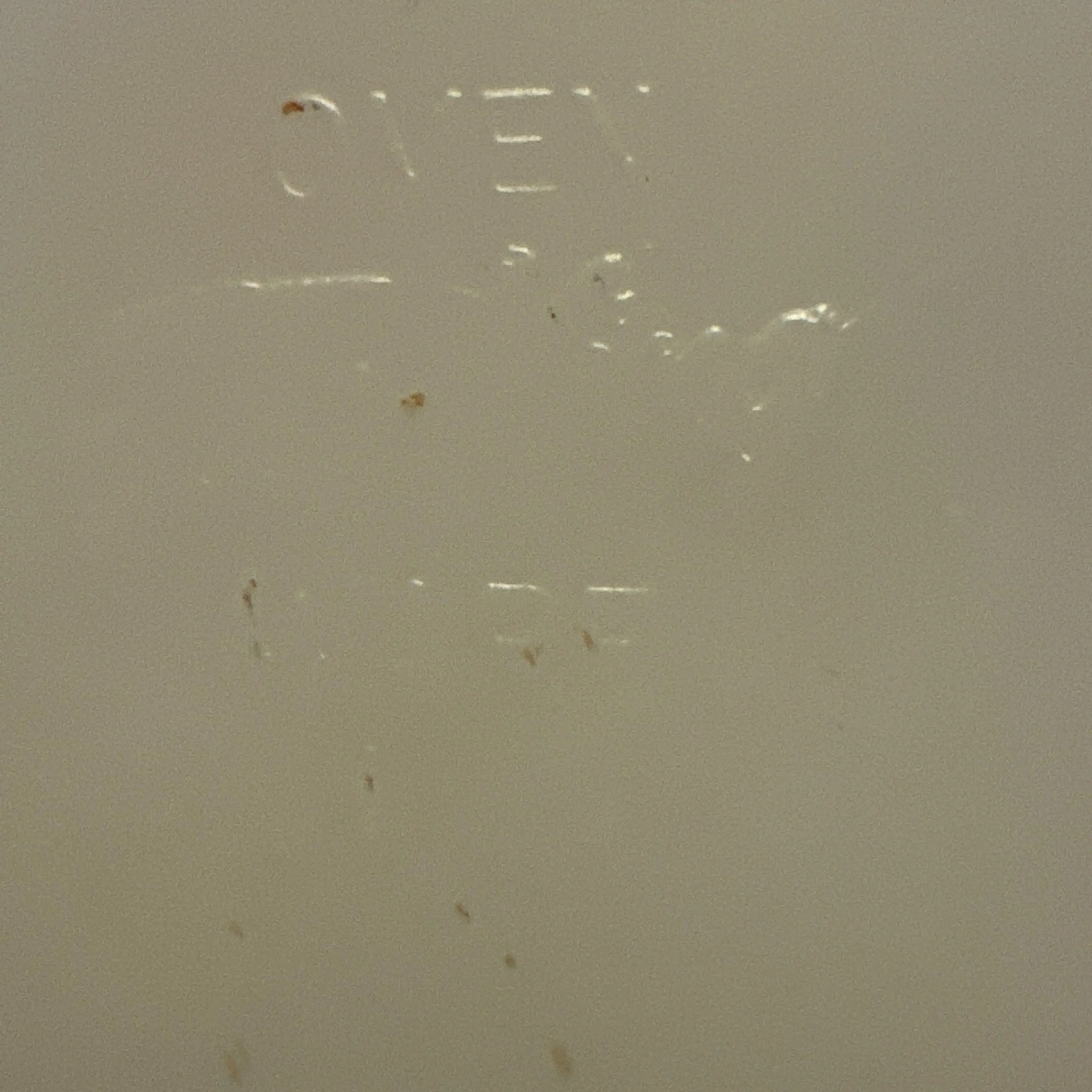 Image 3 of 3