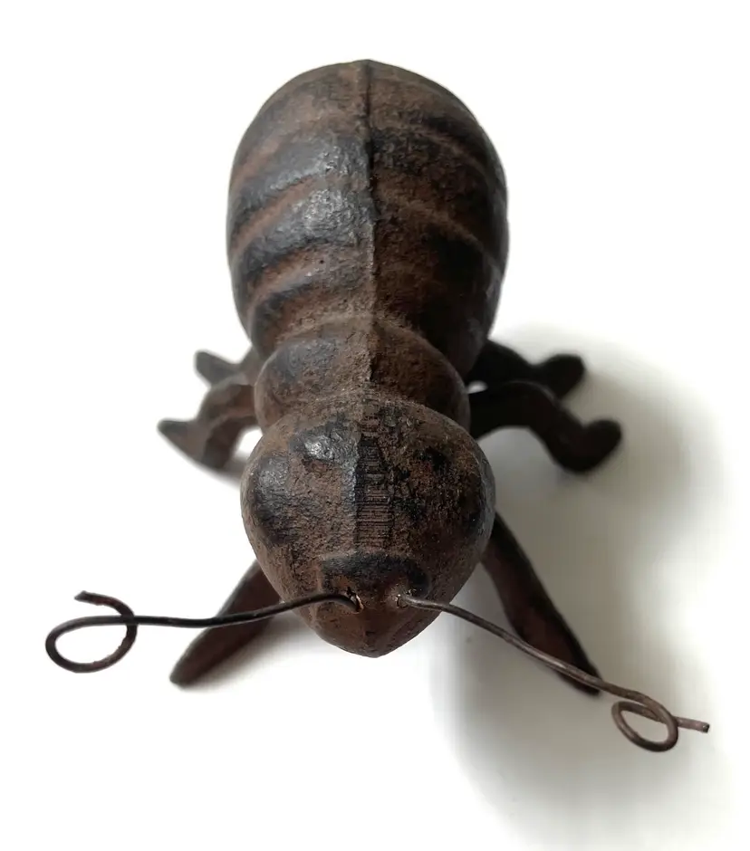 Insect Paperweight. Cast Iron. Vintage Rustic Finish.