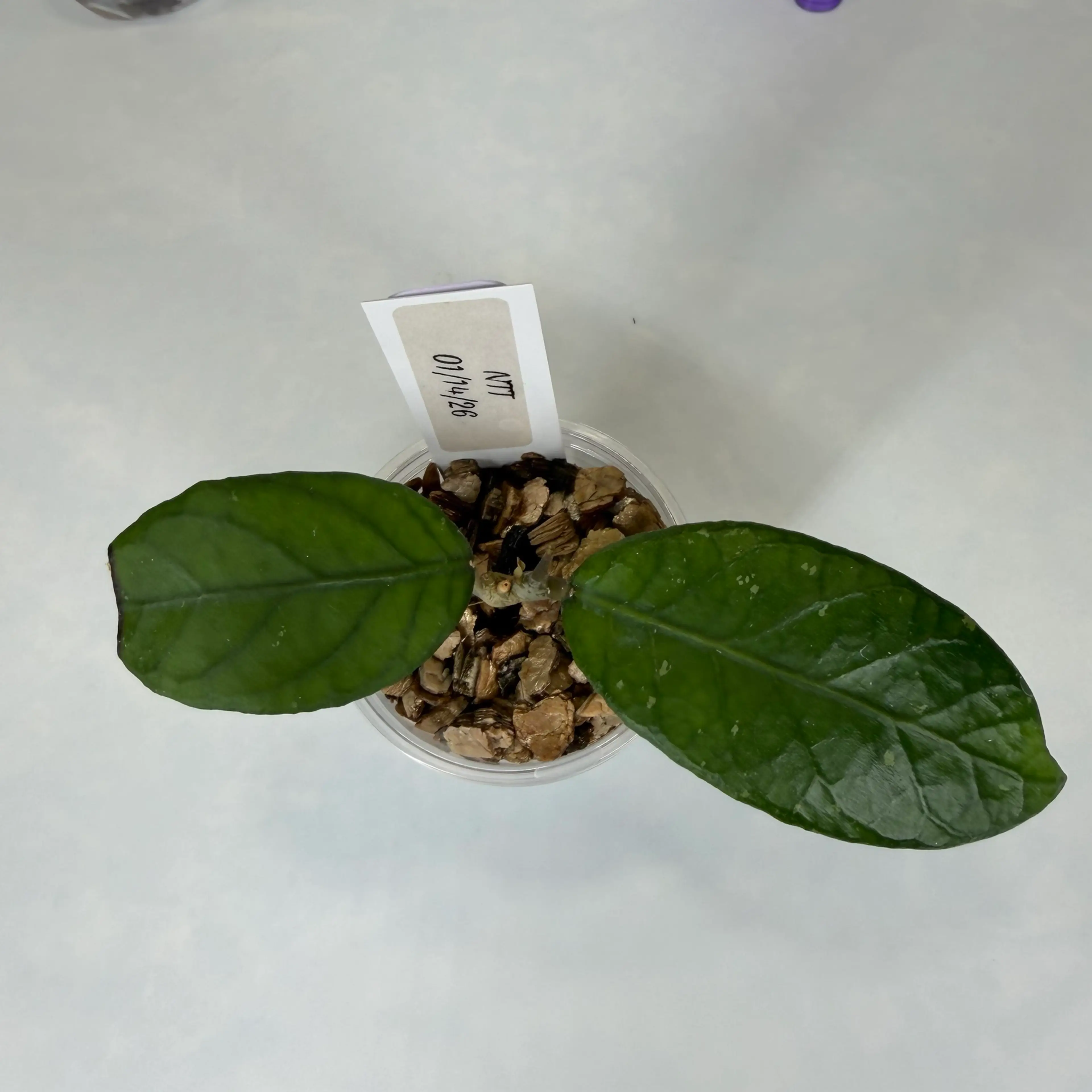 Image 3 of 3