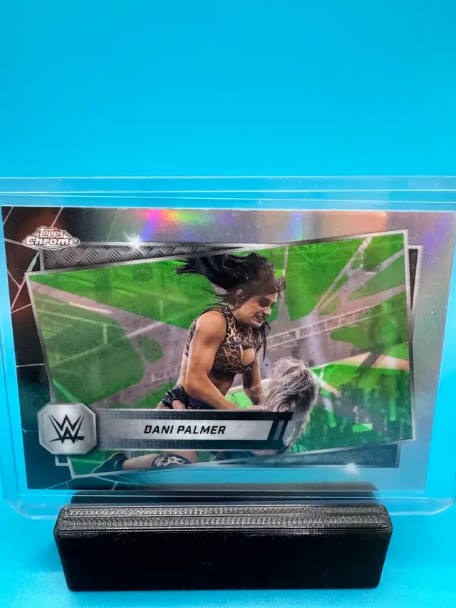 Dani Palmer Topps Chrome Refractor