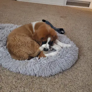 MillageVillage Finds