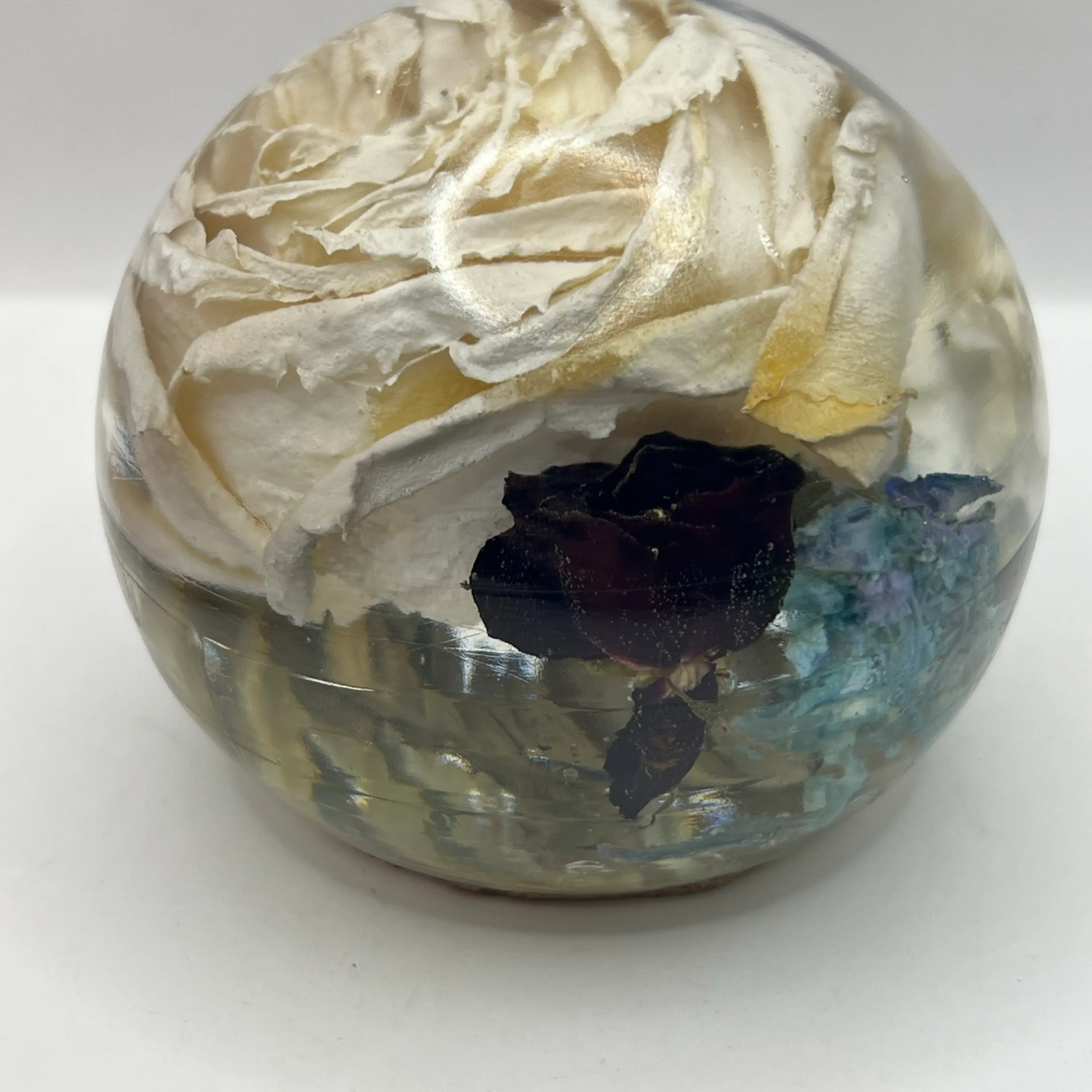 Image 3 of 11