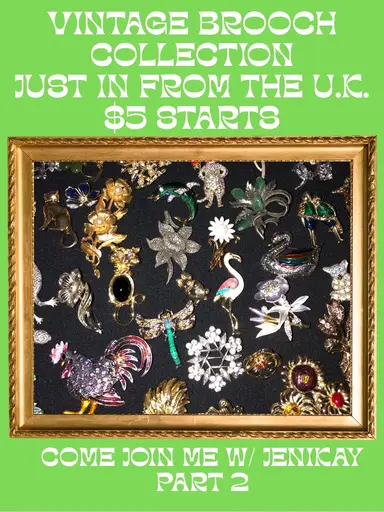 Just In From The U.K. Vintage Brooches With Jenikay