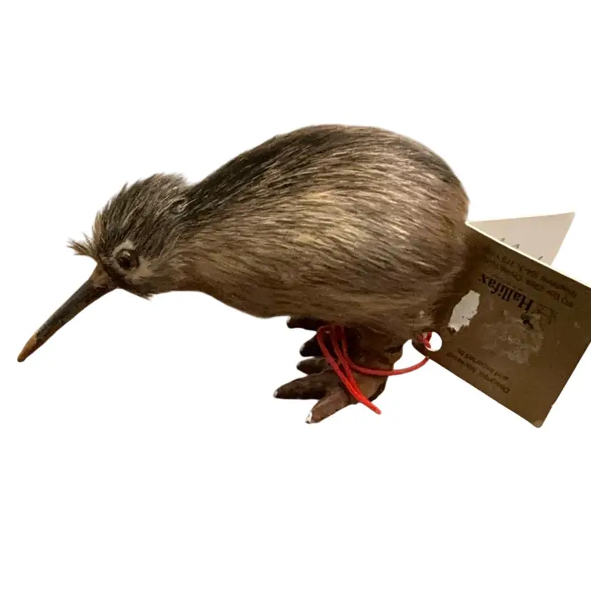 Vintage Rare New Zealand Kiwi Bird Figurine Made With Real Feathers 2” X 3 1/2”