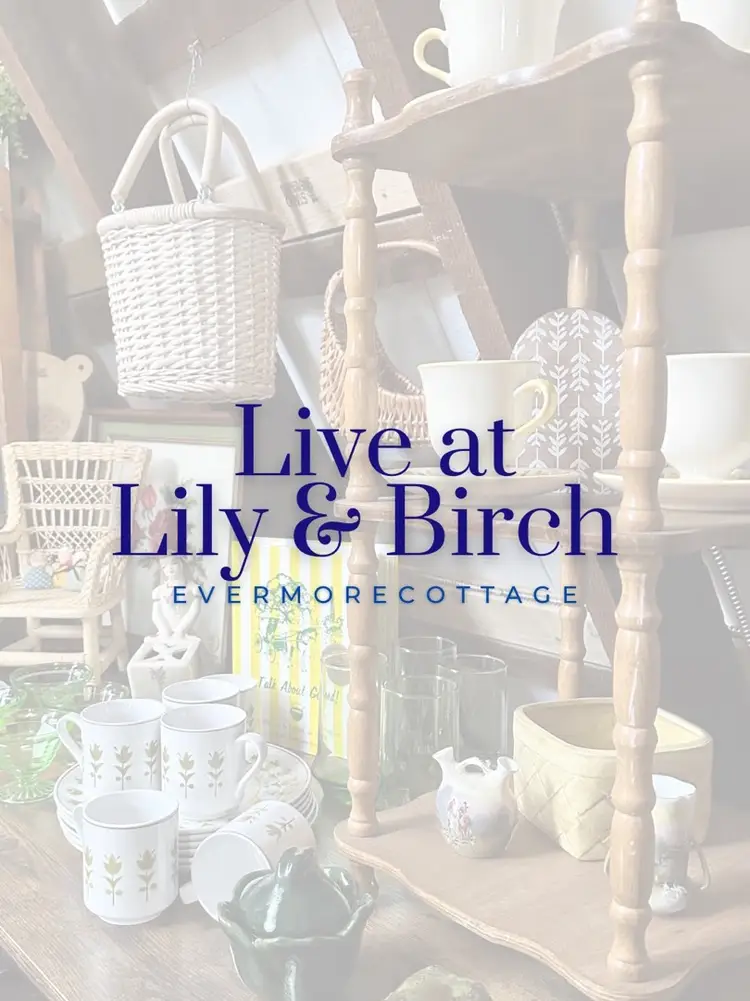 Live At Lily And Birch