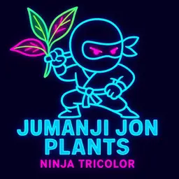 D3 Alocasia Ninja 🥷 Tricolor