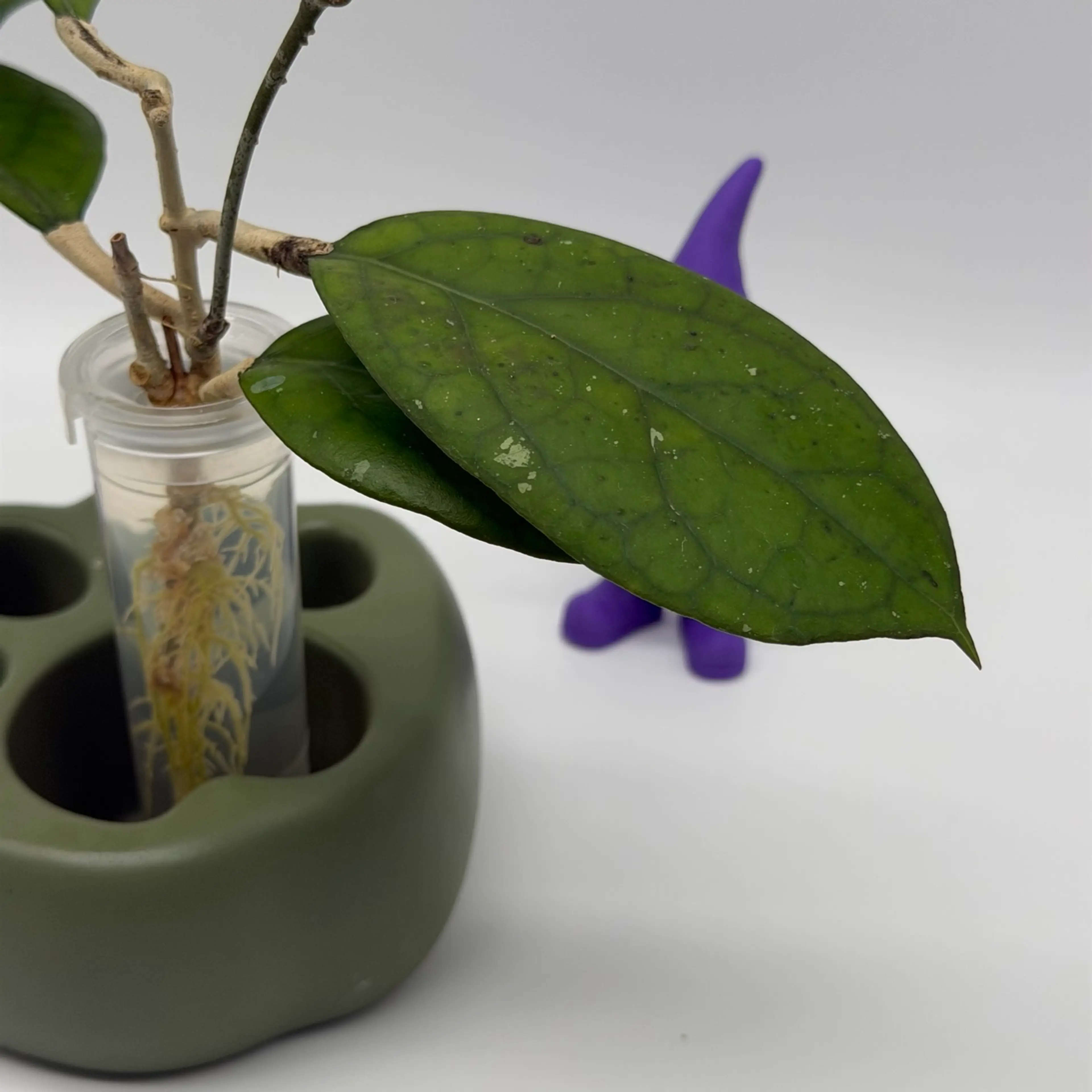Image 4 of 4
