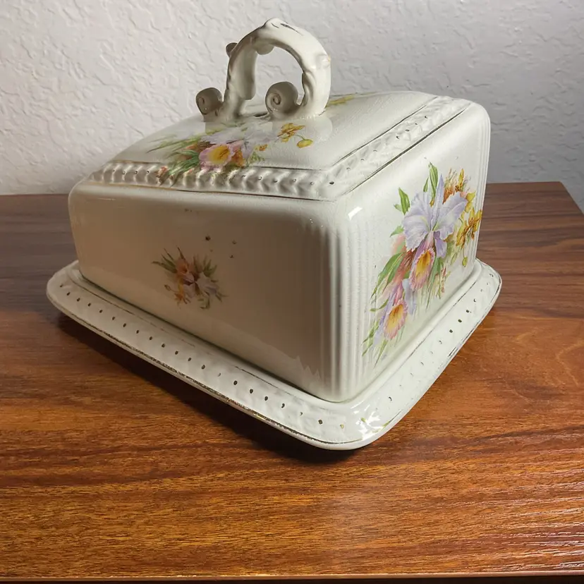 Porcelain Cheese Covered Dish Plate