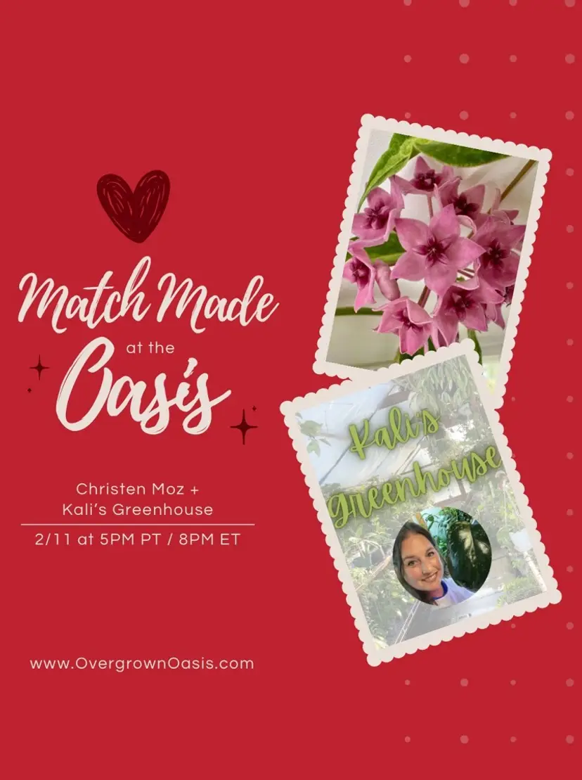 Livestream thumbnail