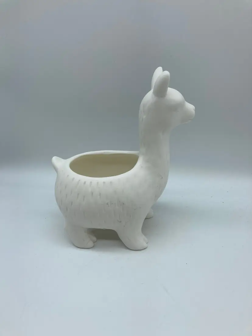 Kikkerland’s Lloyd the Llama planter, which is leak-proof and perfect for succulents