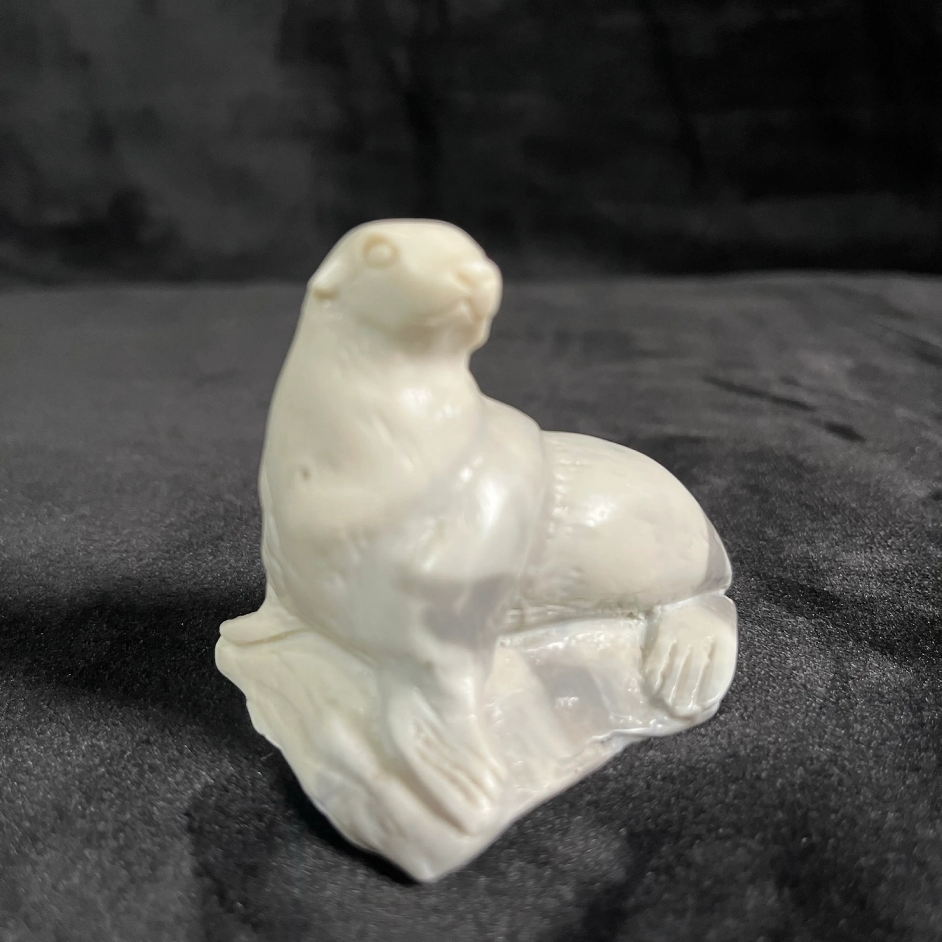 Image 2 of 5