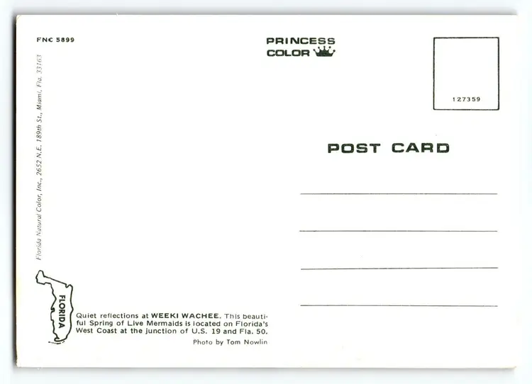 Weeki Wachee Mermaids Florida Under Water Lady Combs Hair Chrome Postcard