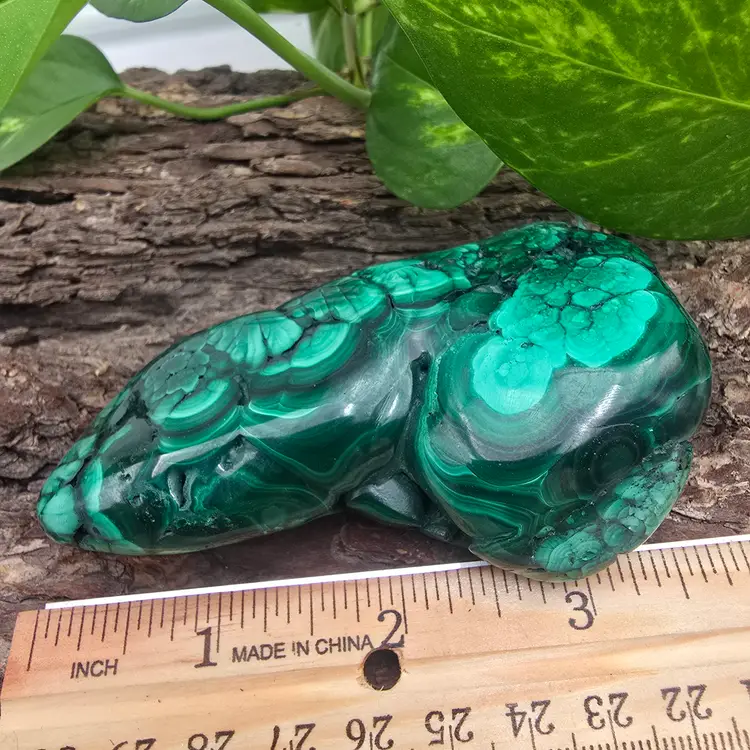 Malachite Freeform from The Congo ~ Polished Crystals