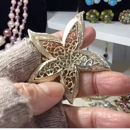 Star Brooch