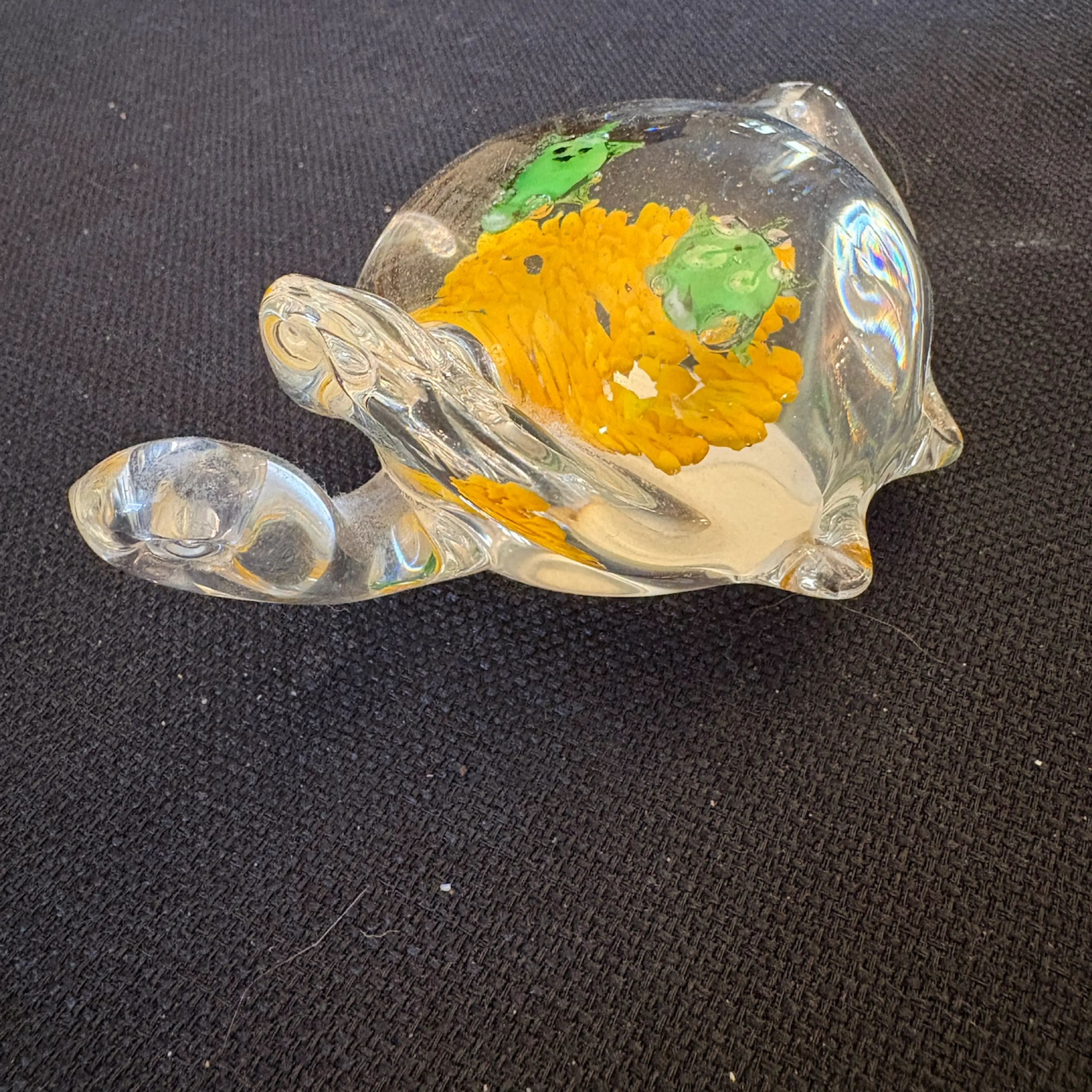 Image 3 of 5