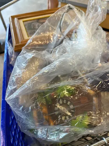 Goodwill Outlet Haul I Found Some NEAT Stuff!