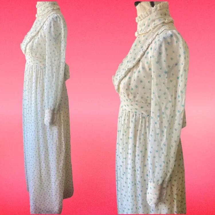 Vintage 1970s Prairie Maxi Dress with White and Blue Floral Print