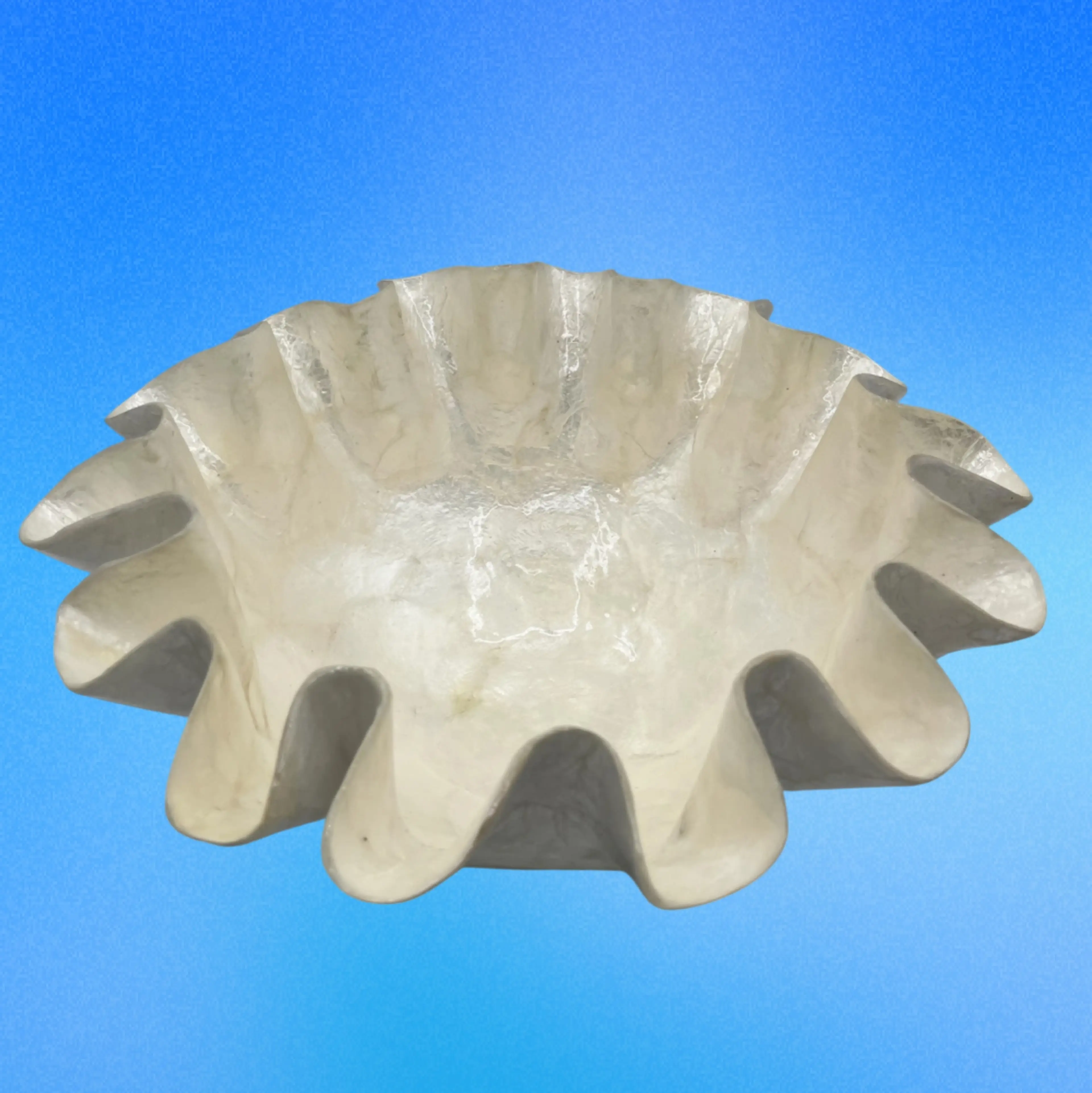 Image 1 of 10