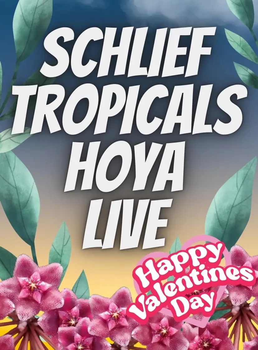 Livestream thumbnail