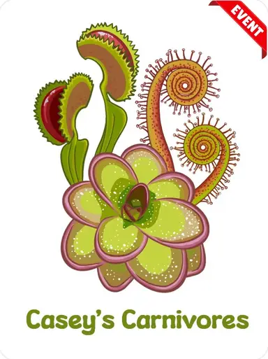 Pings N Things St. Patrick's Day Sale Trail!