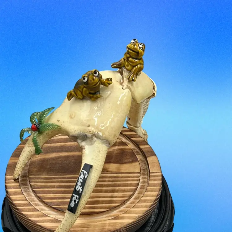 Puerto Rico Crab Claw Souvenir With Two Tiny Pottery Frogs