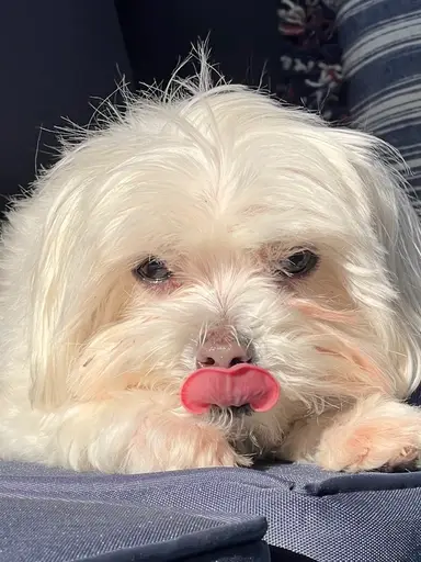 Sunday Funday & More Items From “The Estate””With Vintage & Vino