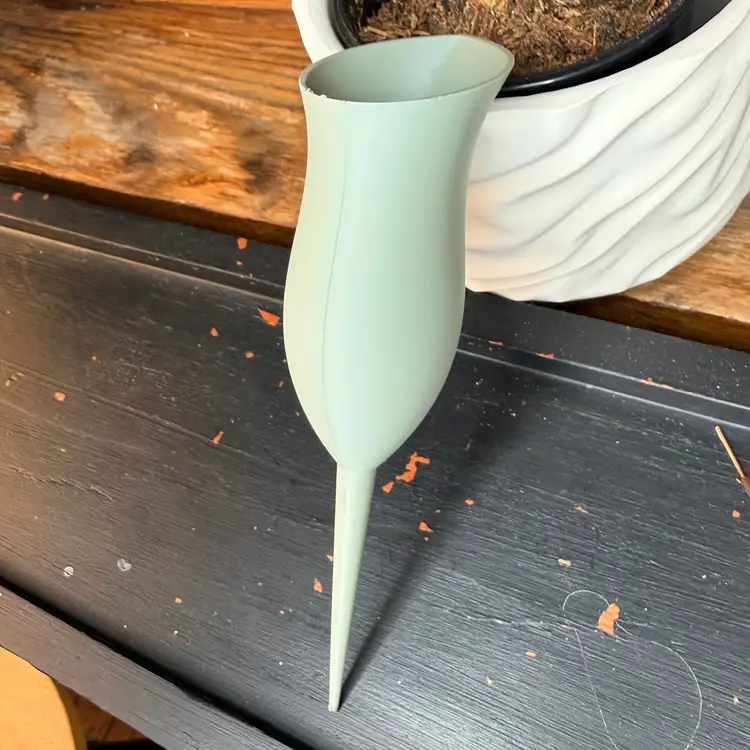 Slow-Release Pitcher Plant Self-Watering