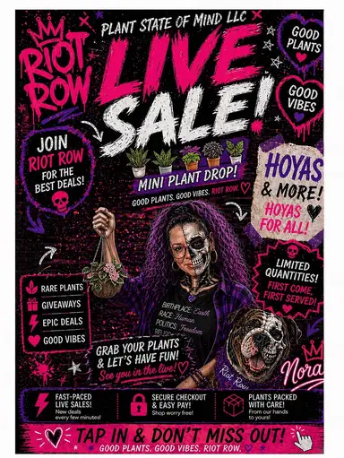 Coffee Talky & MINI PLANTS!