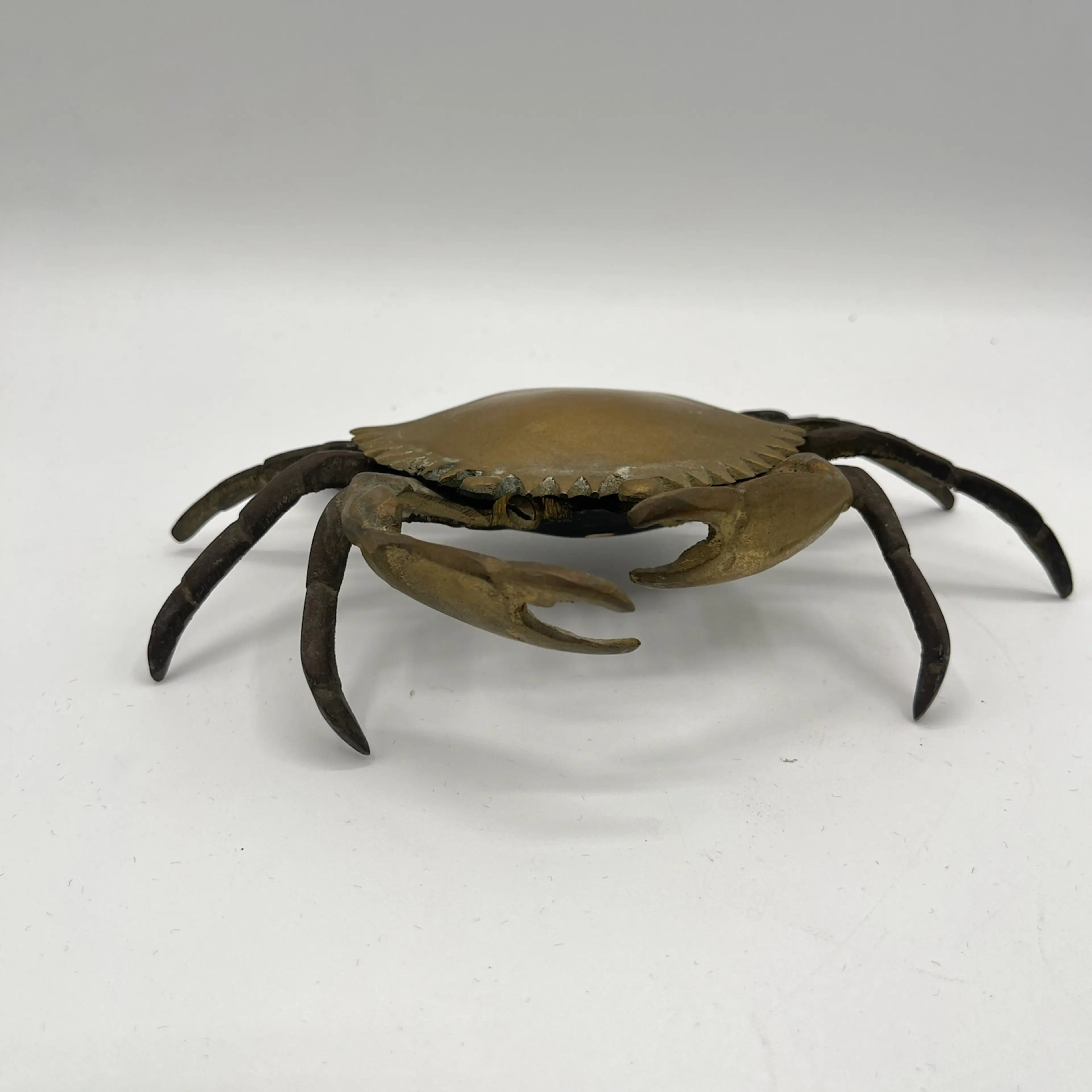 Image 4 of 11