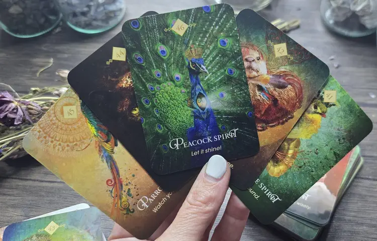 The Spirit Animal Oracle - Pocket Version in Tin Box