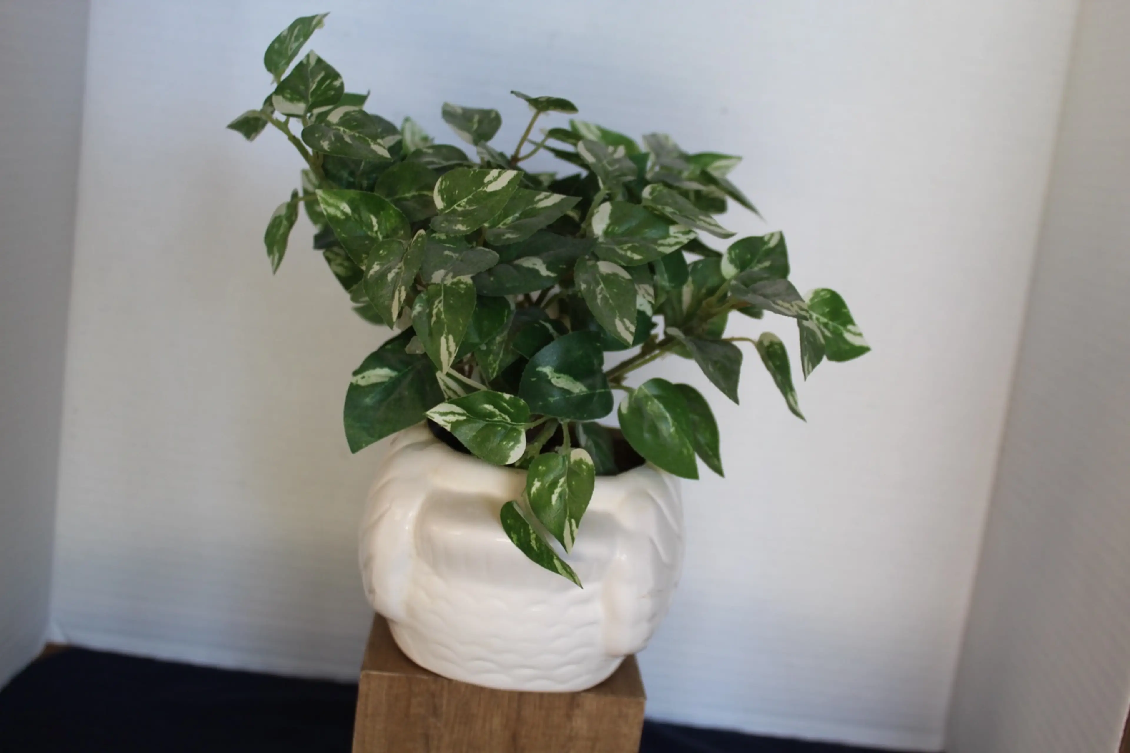 Image 2 of 10