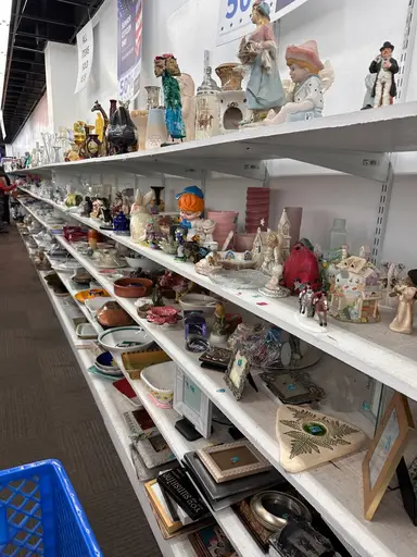 Thrift Store LIVE Shopping POP UP 🎉