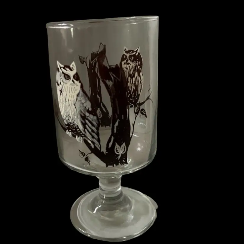 Vintage Owl Glass Stem Tumbler  6.5” X 3.5”