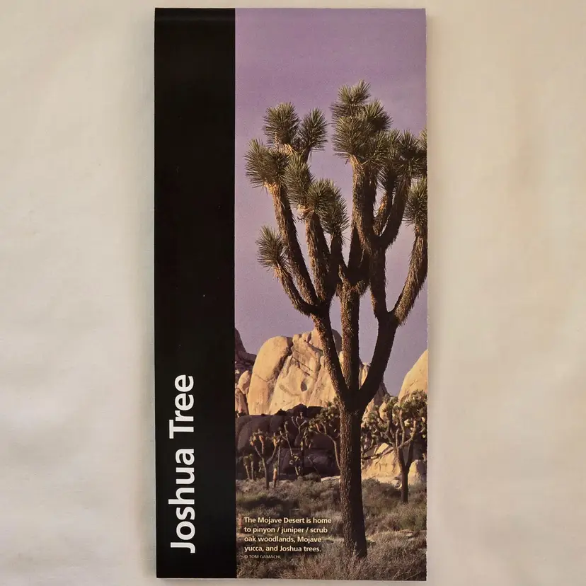 Joshua Tree National Park Unigrid Brochure Map California GPO 2024 Ephemera