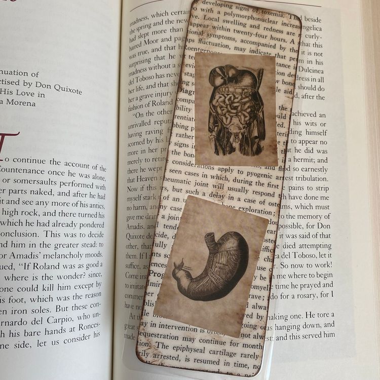 Guts And All Dark Academia Bookmark