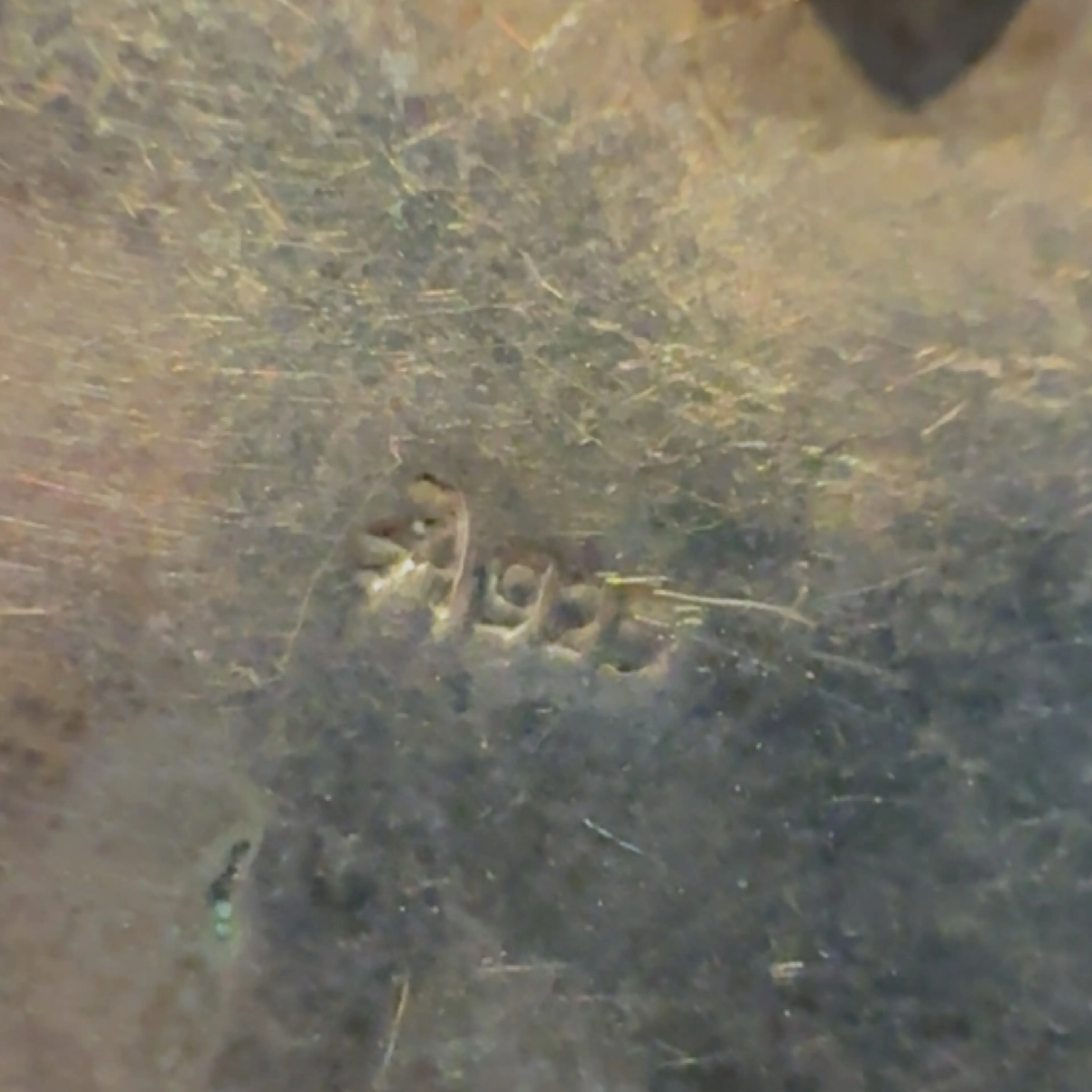 Image 5 of 8