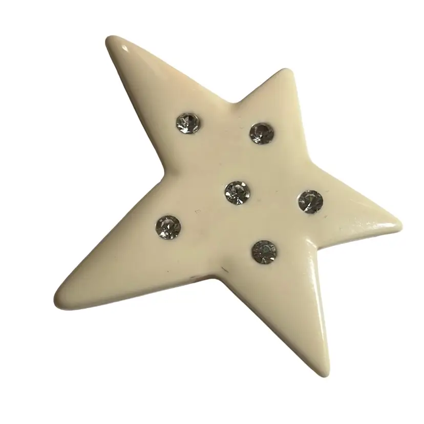 Lucite Star Brooch With Rhinestones