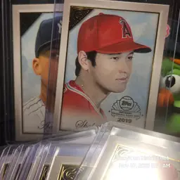 2019 Bowman Platinum NBCD Gallery Complete Set