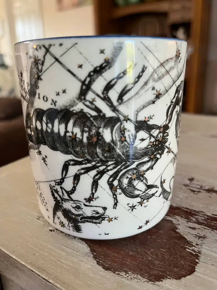 Salt And Earth By Anthropologie Scorpio Zodiac Mug
